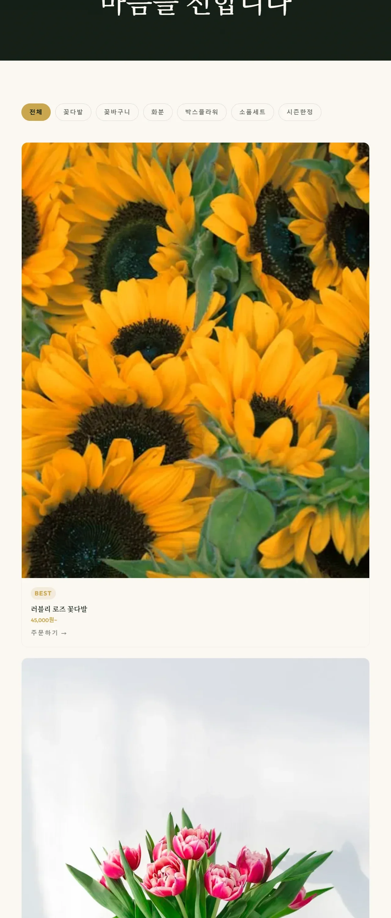 디자인 포트폴리오