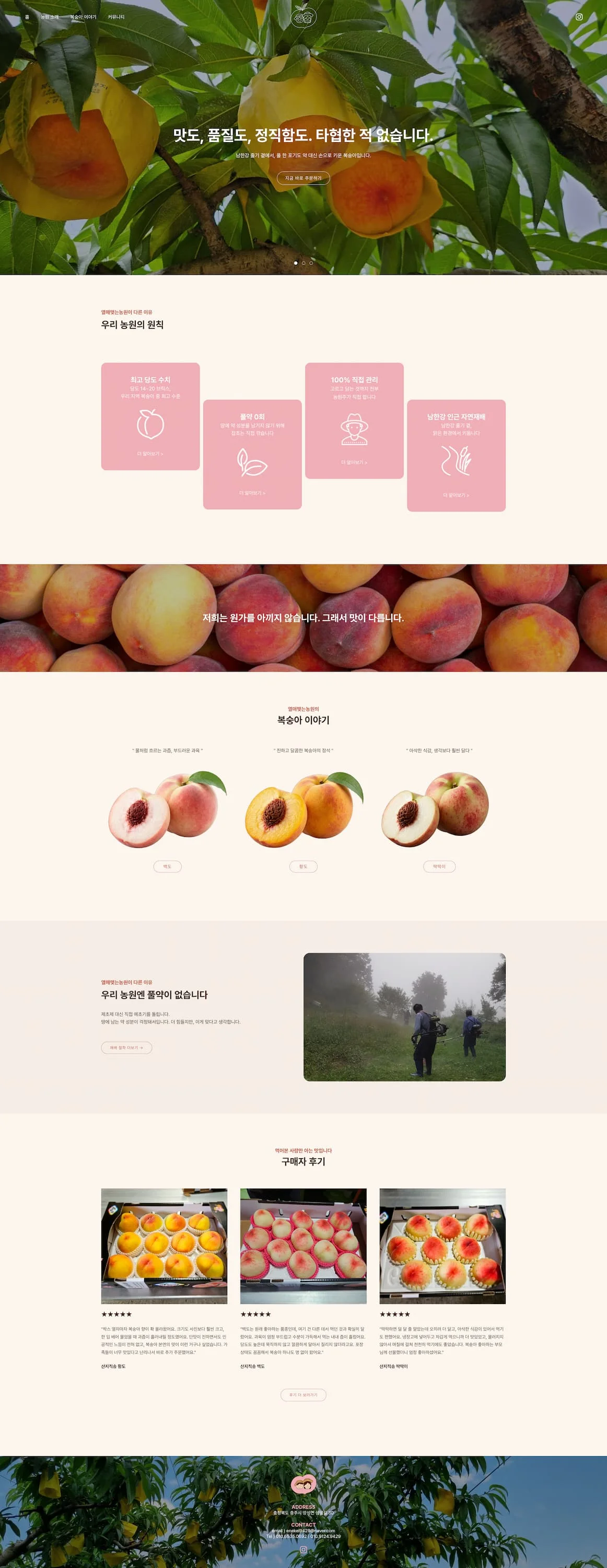 디자인 포트폴리오