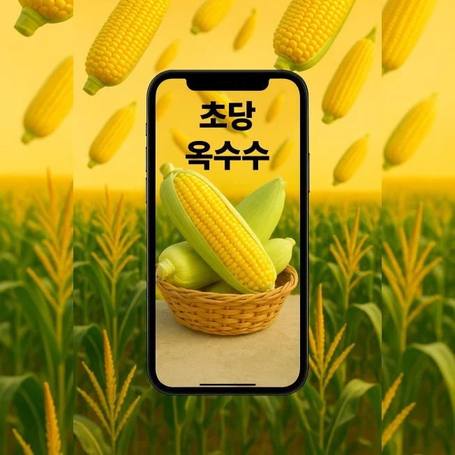 포트폴리오 메인이미지