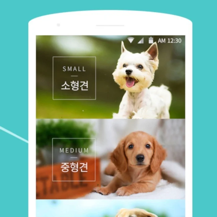 포트폴리오 메인이미지