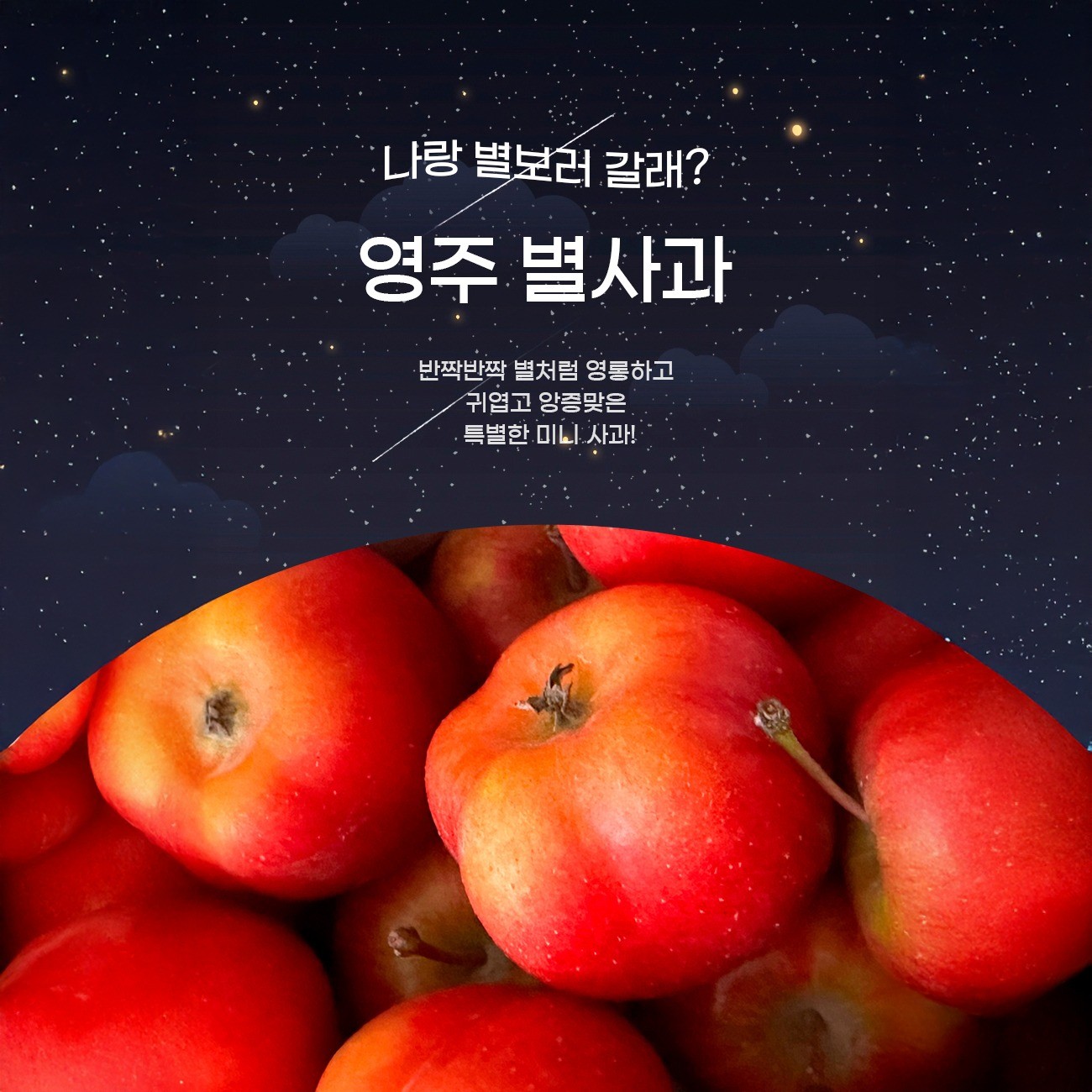 로고디자인, 브랜드 디자인∙가이드 전문가 제이와이디자인랩 - 크몽