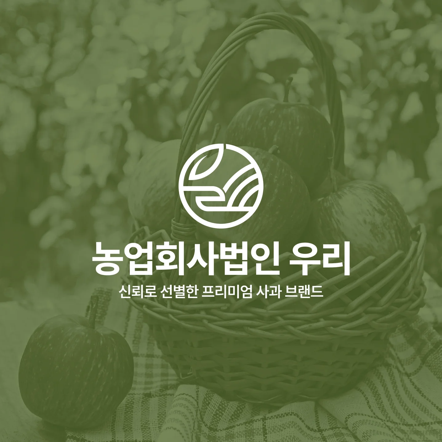 포트폴리오 메인이미지