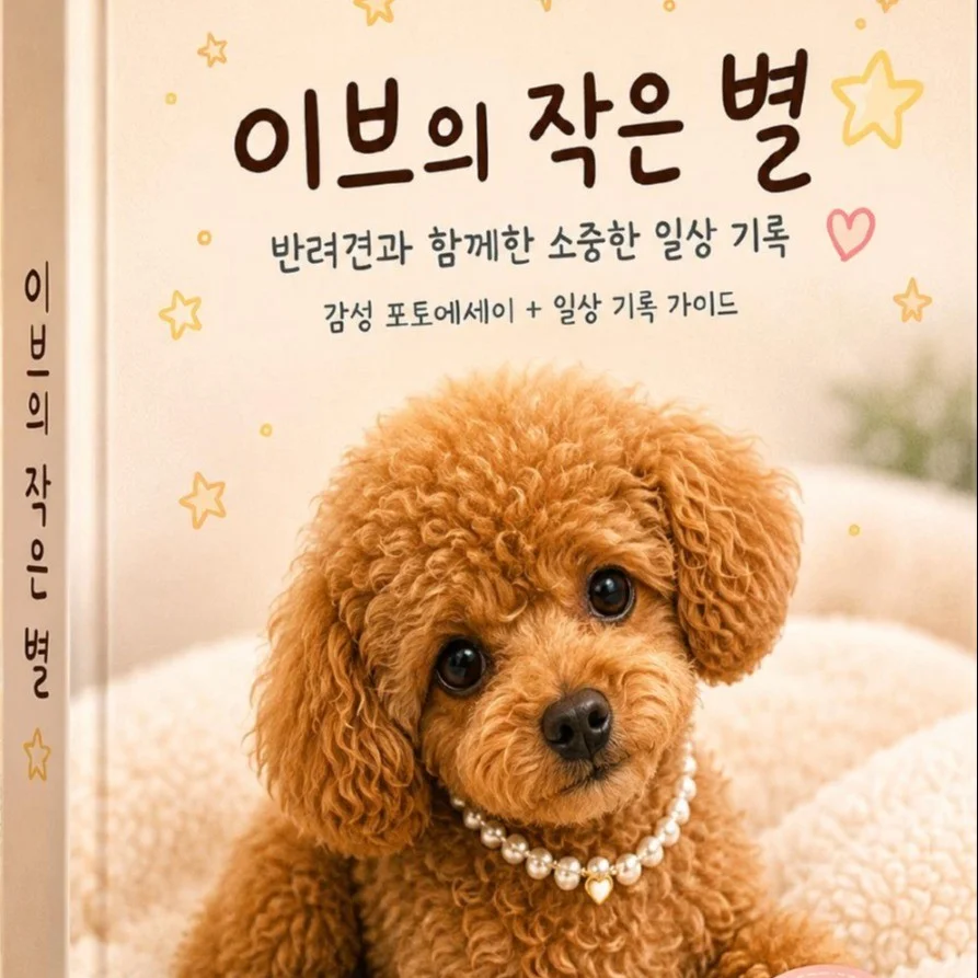 포트폴리오 메인이미지