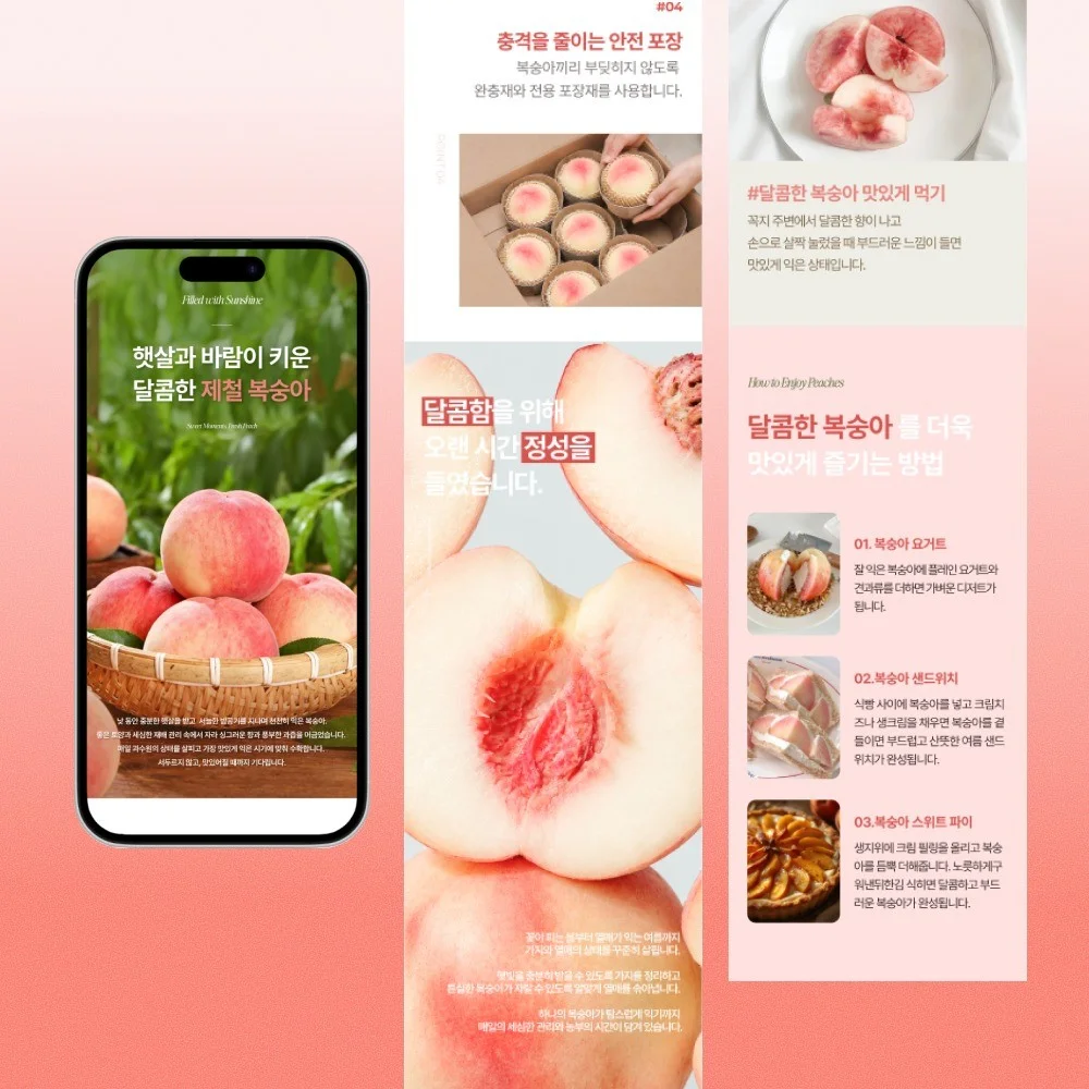 포트폴리오 메인이미지