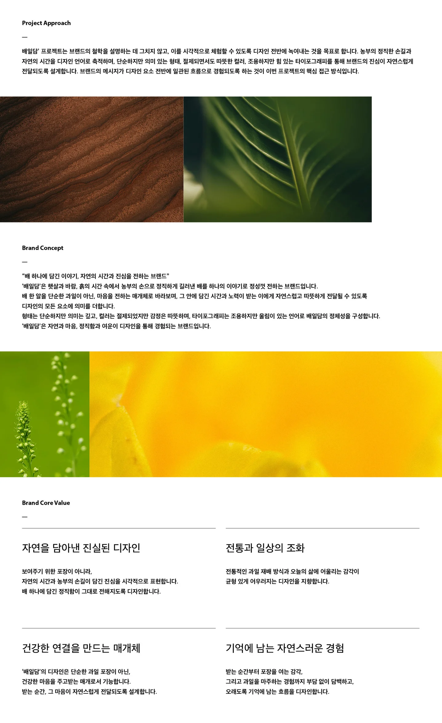 디자인 포트폴리오