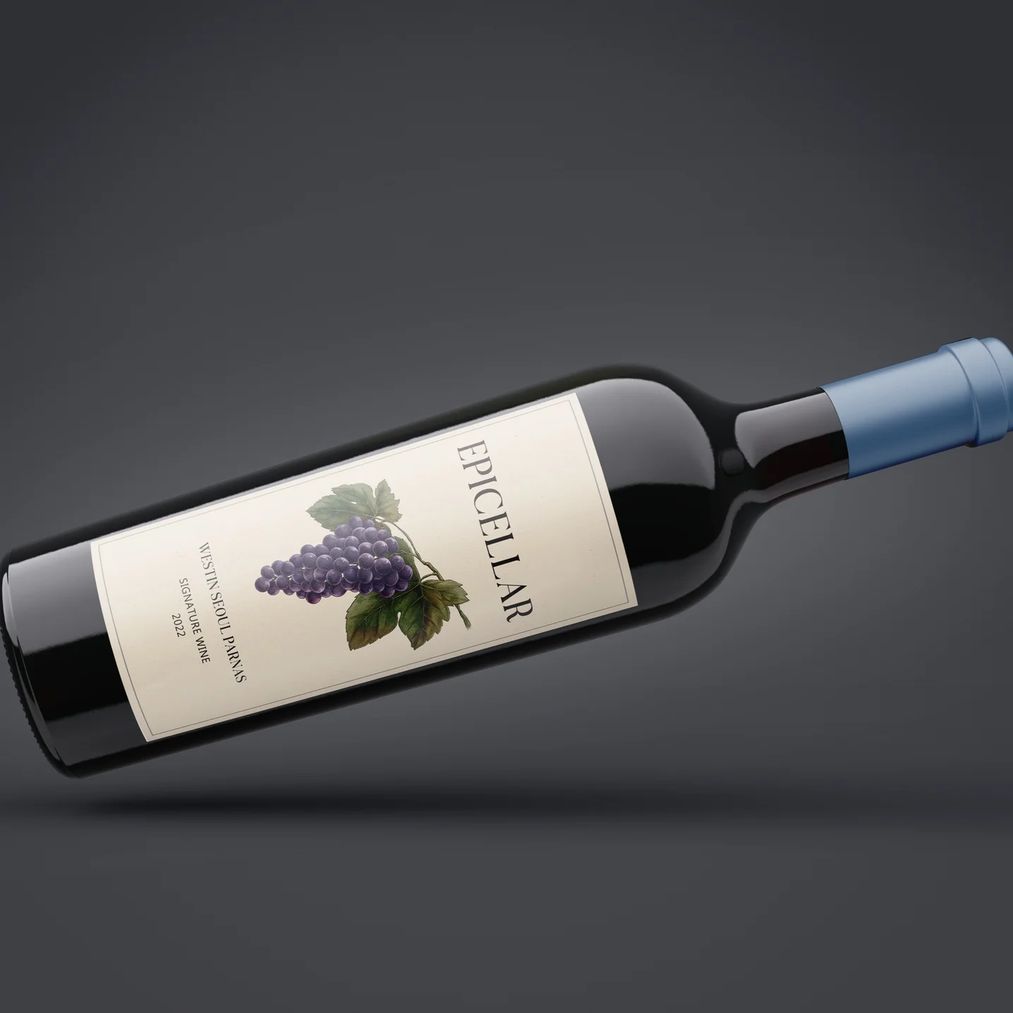 포트폴리오 메인이미지