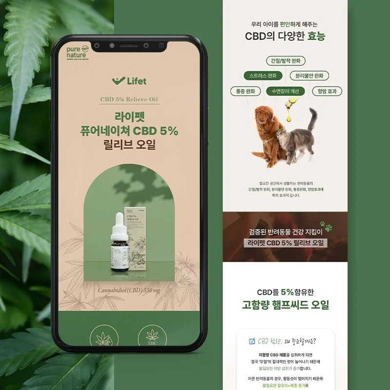 포트폴리오 메인이미지