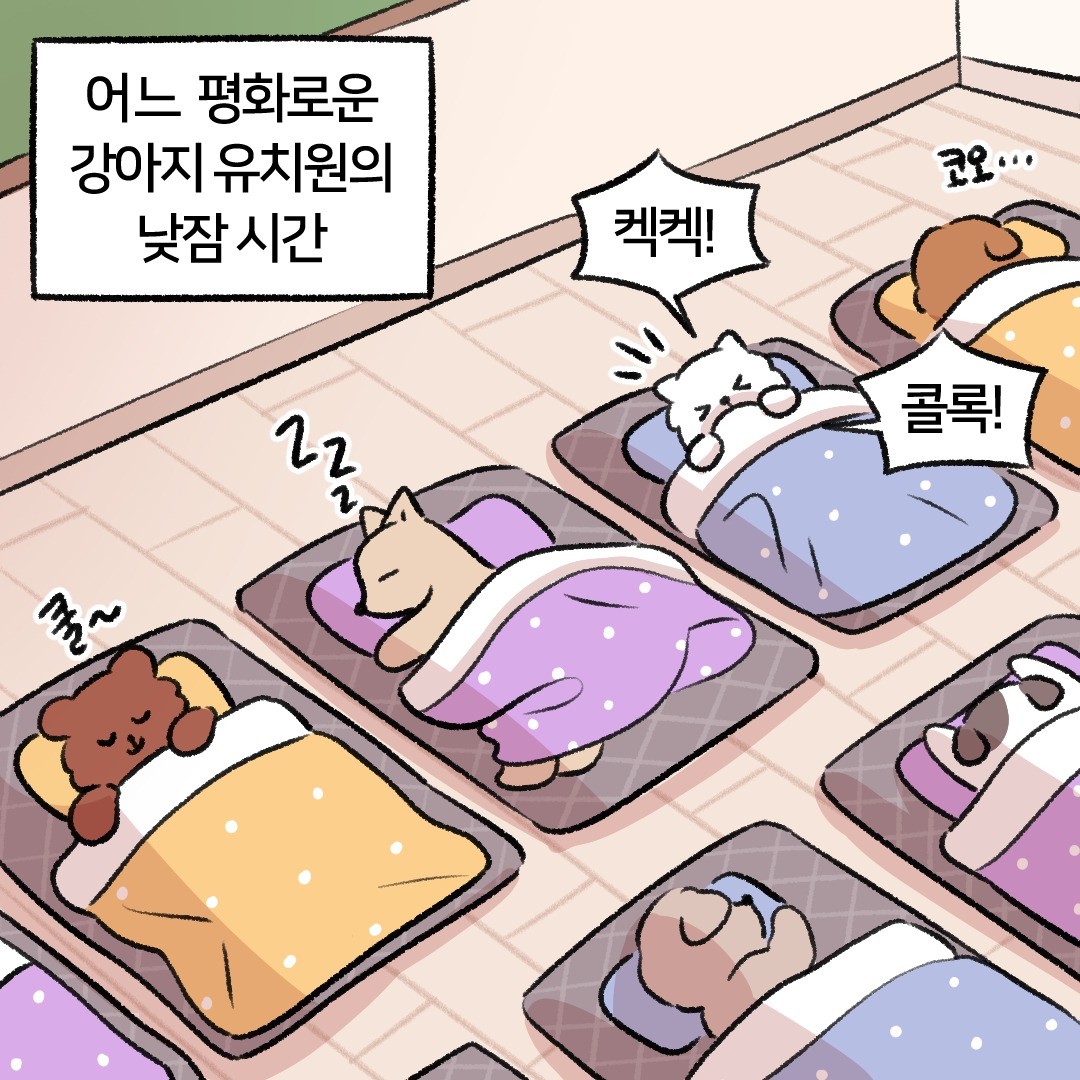 포트폴리오-반려동물 브랜드툰