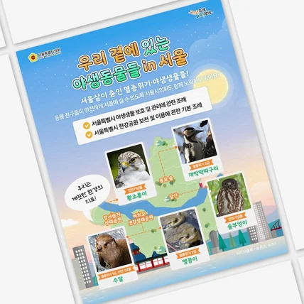 포트폴리오-콘텐츠 카드뉴스 디자인 ['우리 곁에 있는 야생동물들 in 서울],[관공서, 브랜드]
