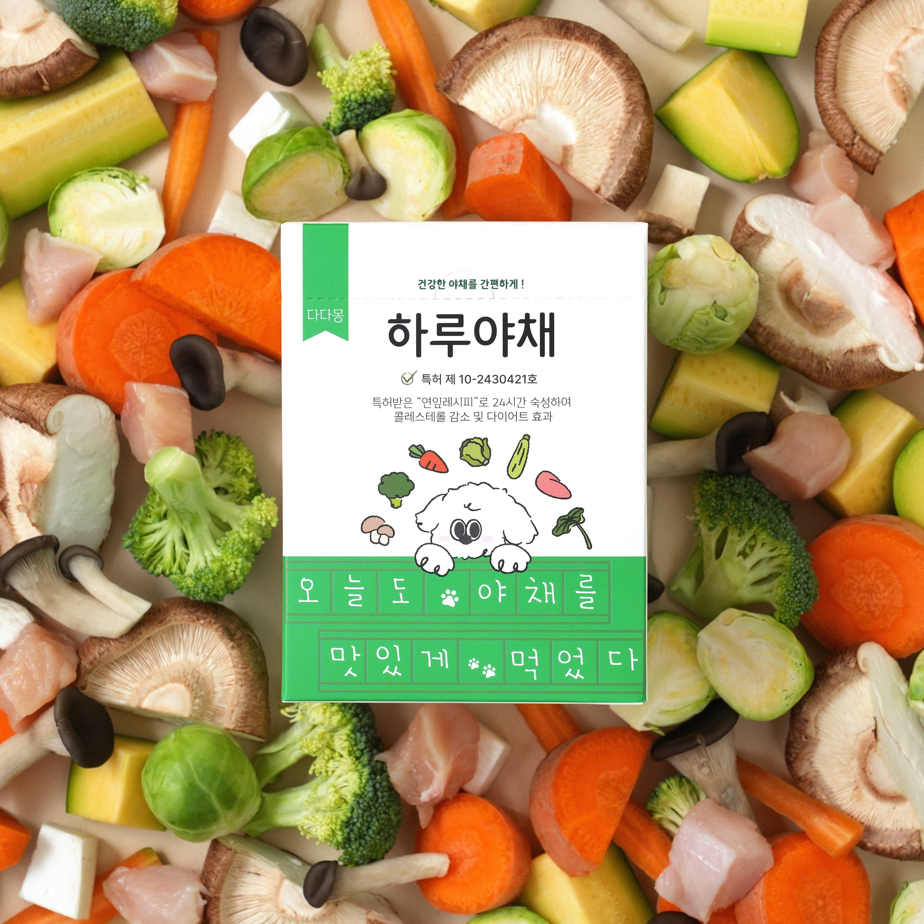 강아지섭외 - 크몽 포트폴리오 검색
