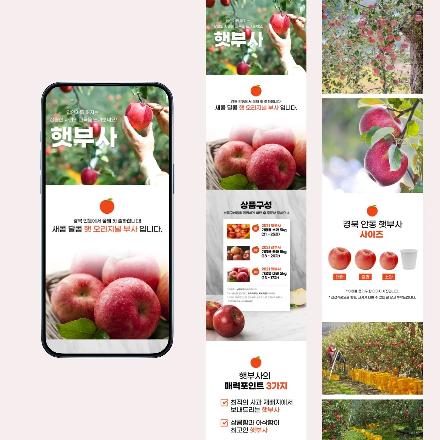 포트폴리오 메인이미지