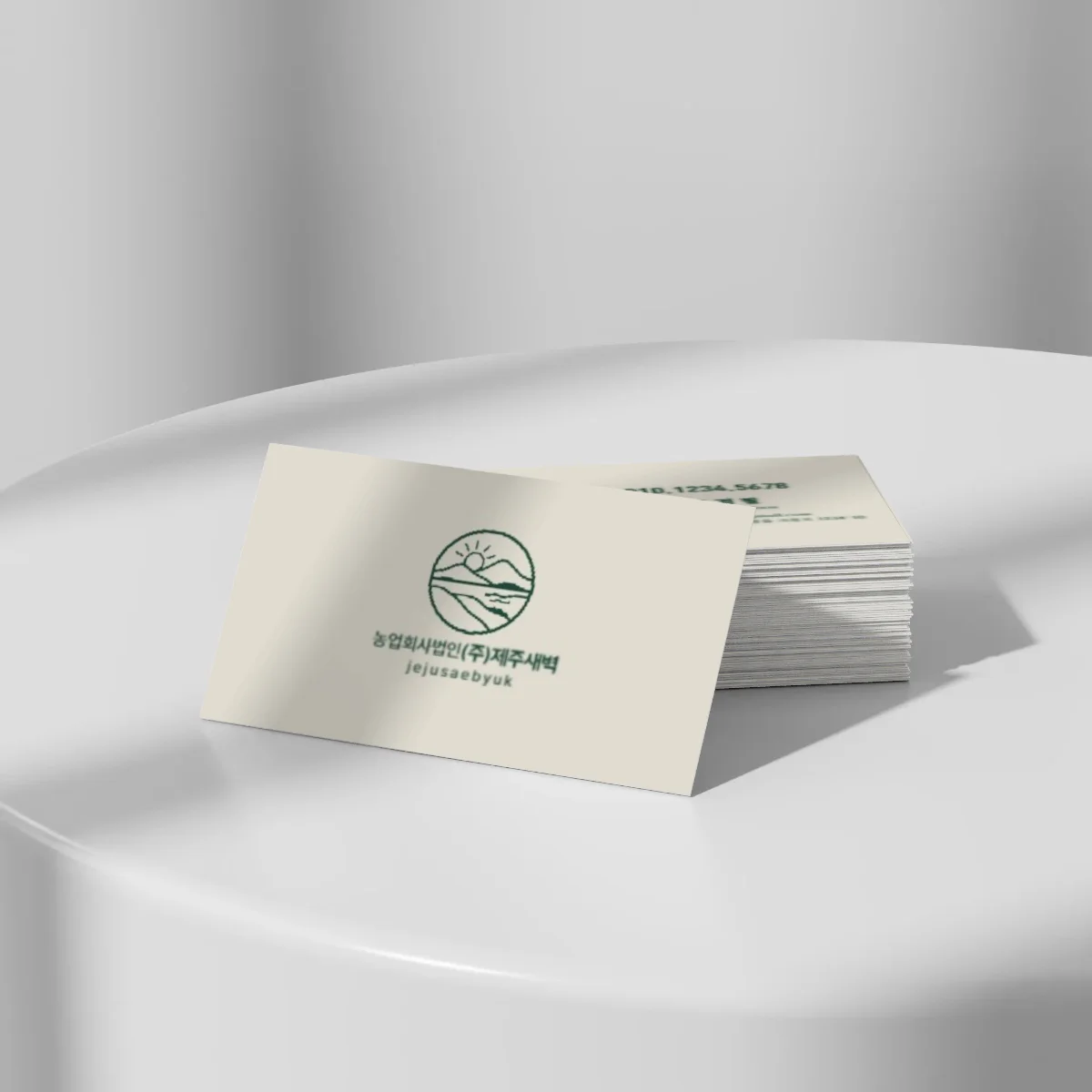 디자인 포트폴리오