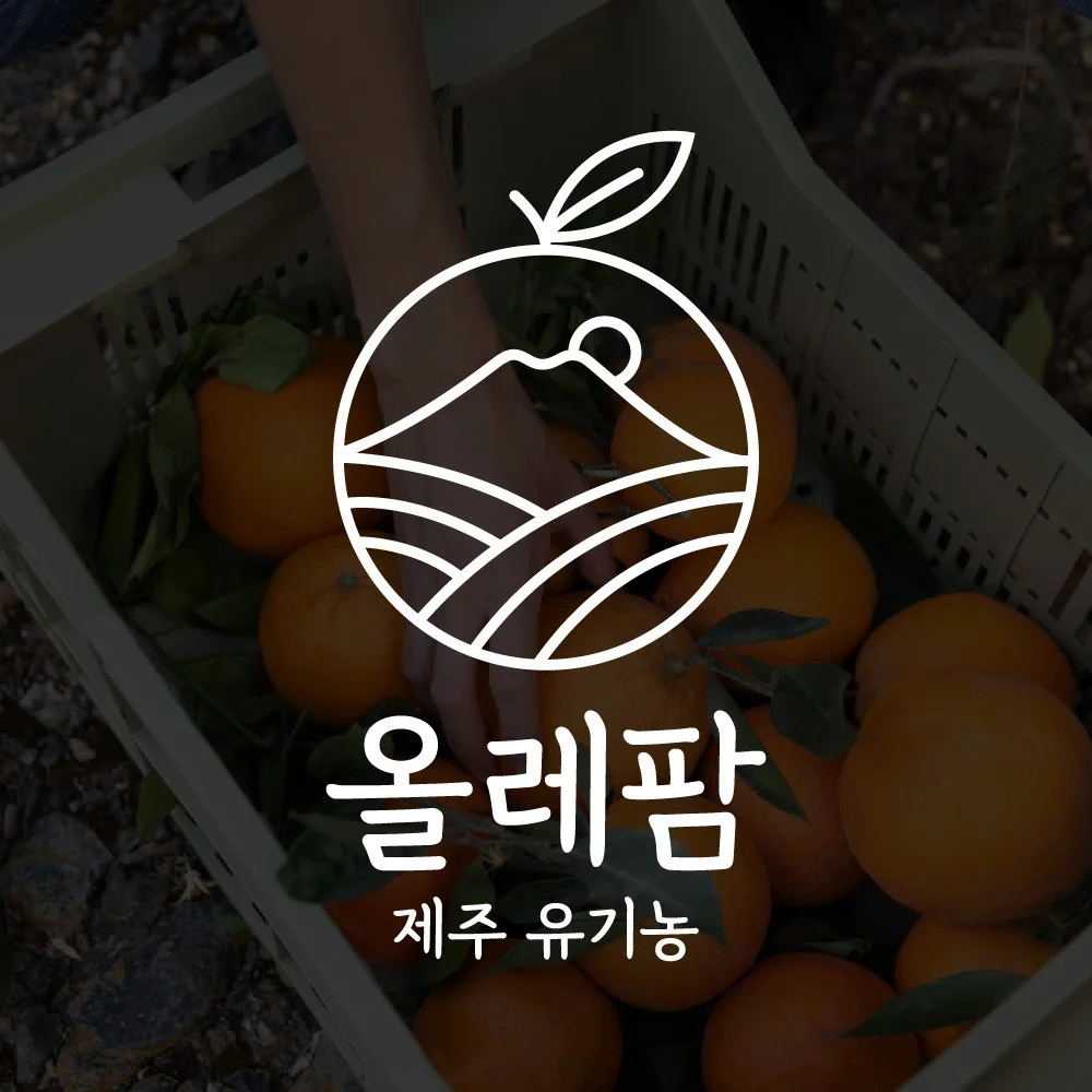 포트폴리오 메인이미지