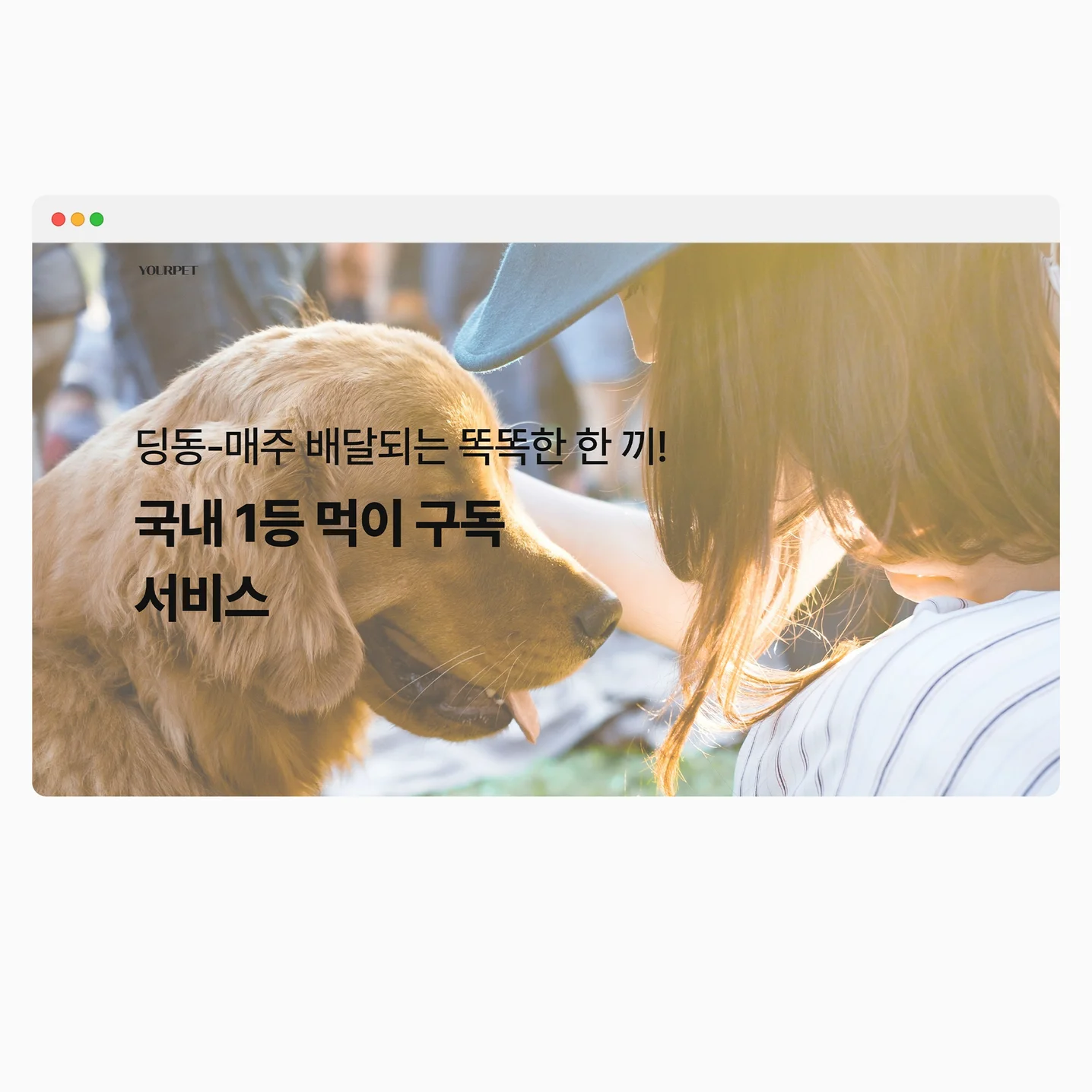포트폴리오 메인이미지