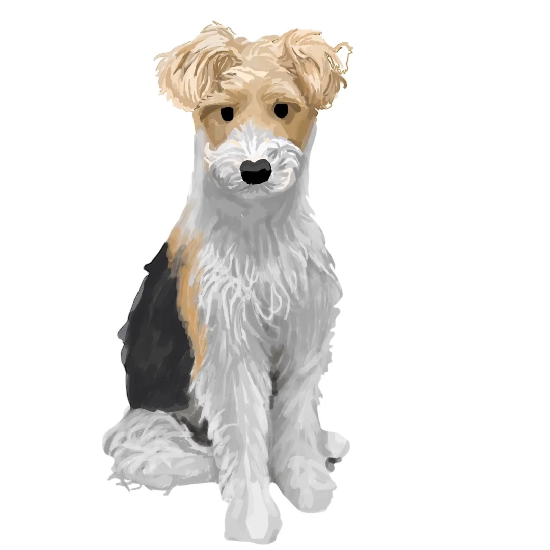 포트폴리오 메인이미지