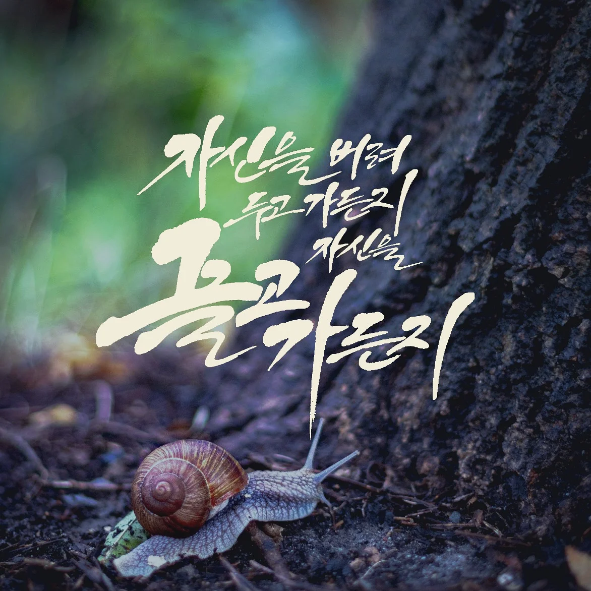 포트폴리오 메인이미지