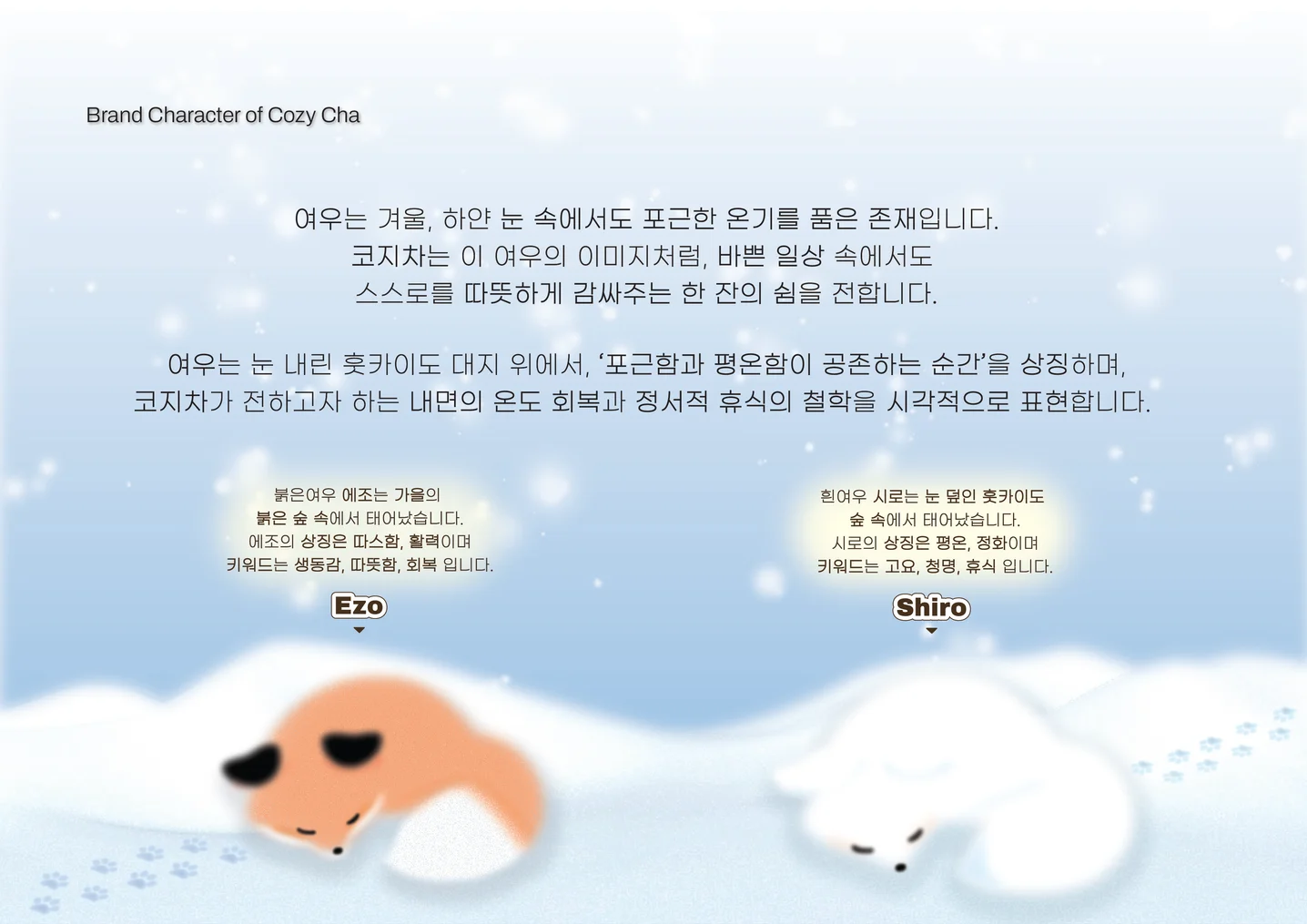 디자인 포트폴리오