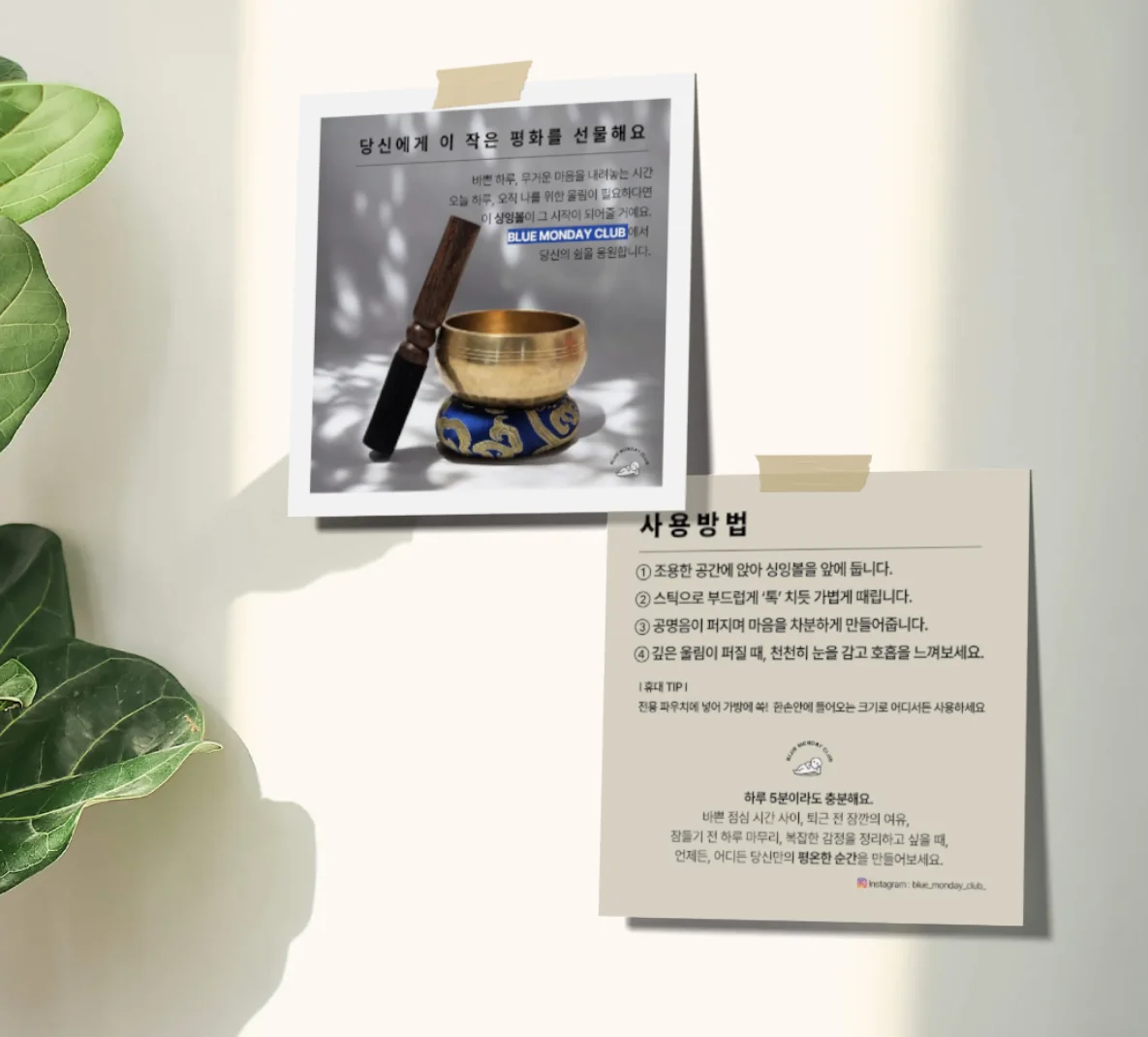 디자인 포트폴리오