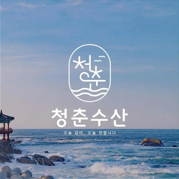 포트폴리오 메인이미지