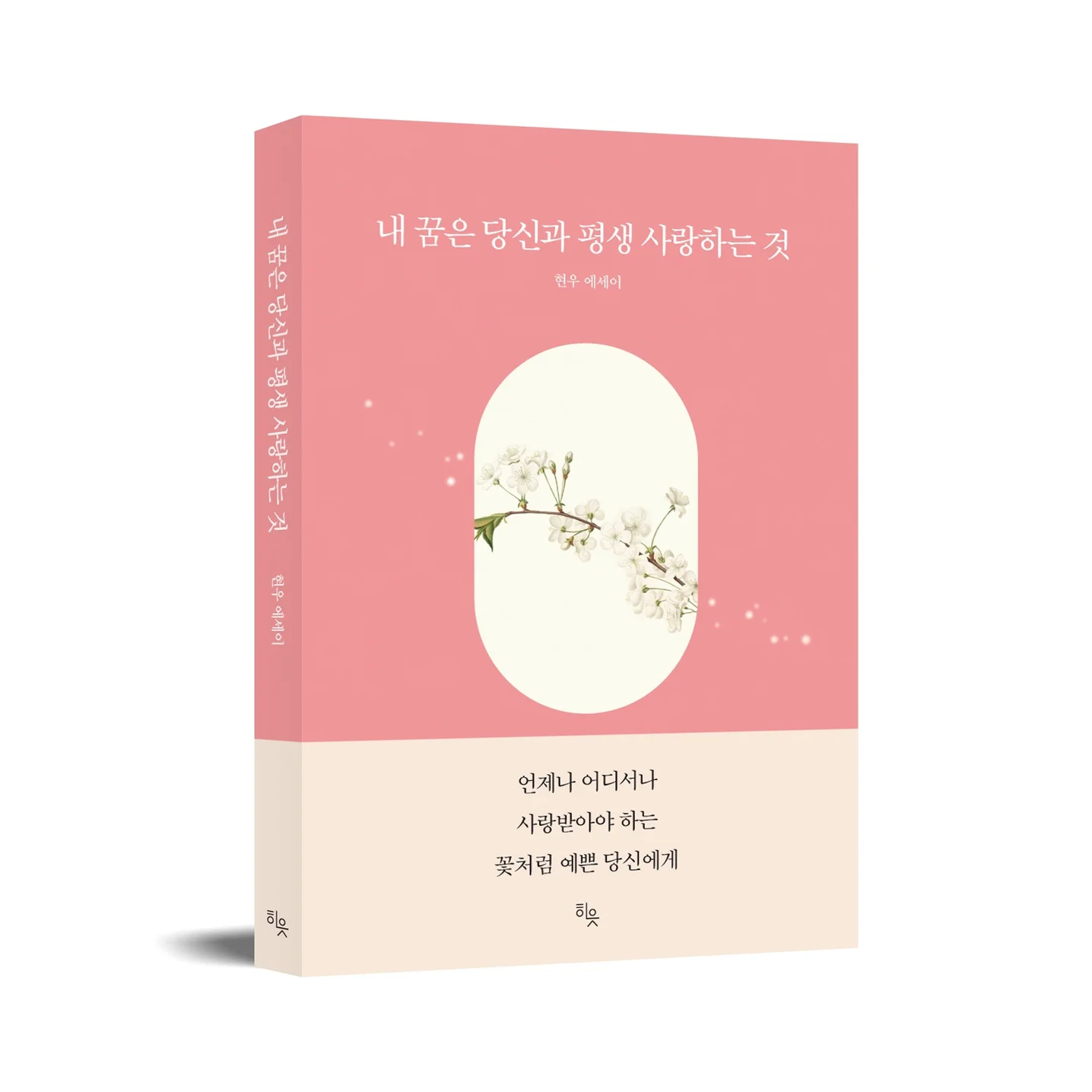 포트폴리오 메인이미지