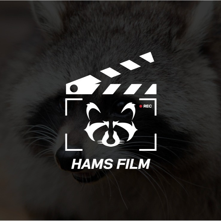 포트폴리오-HAMS FILM 로고디자인