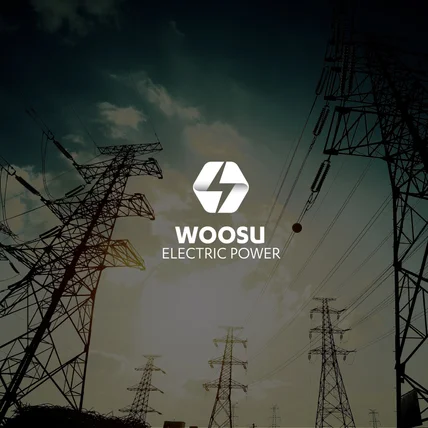 포트폴리오-WOOSU EIECTRIC POWER, 전기산업