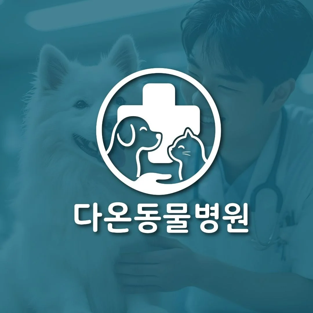 포트폴리오 메인이미지