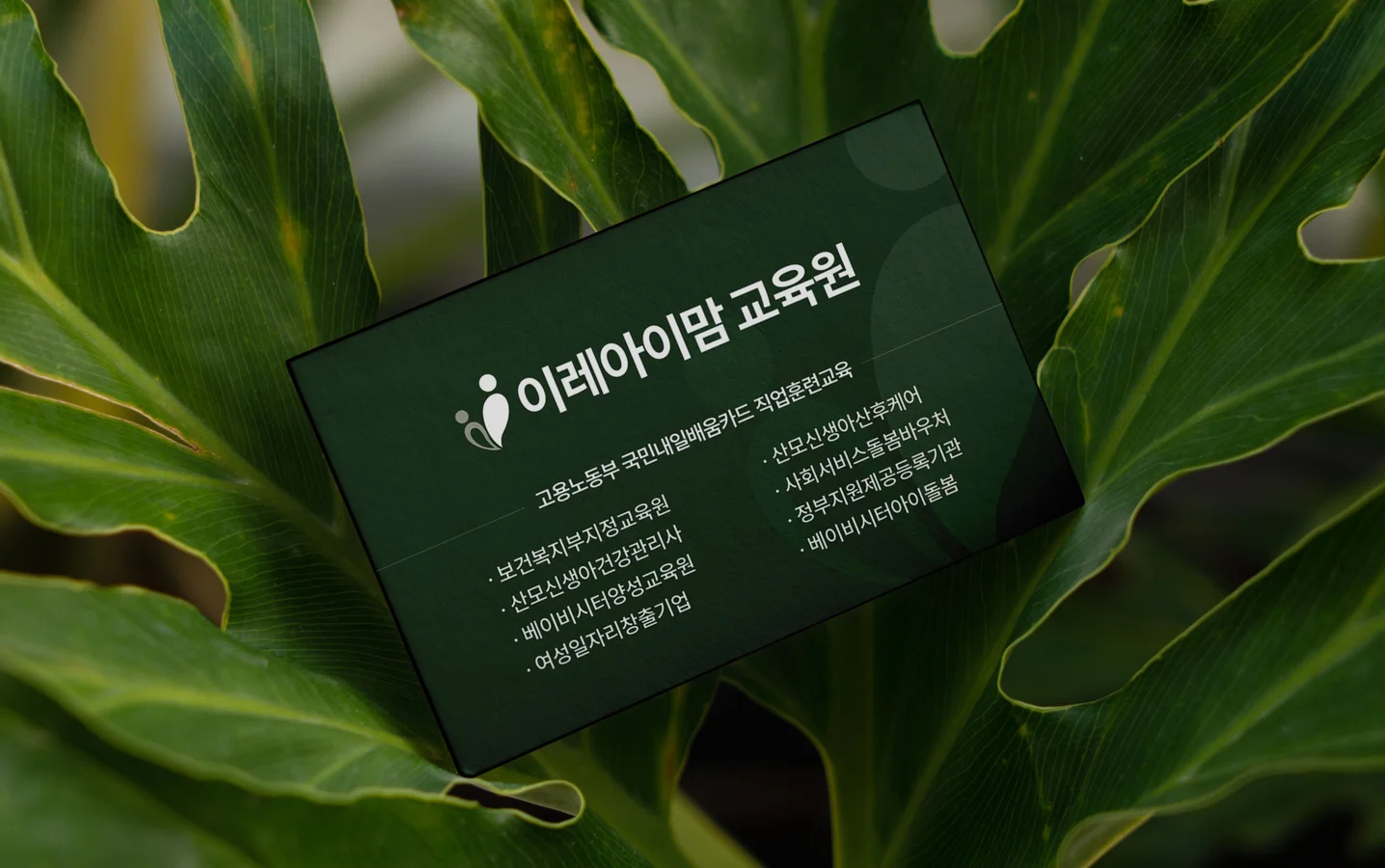 디자인 포트폴리오