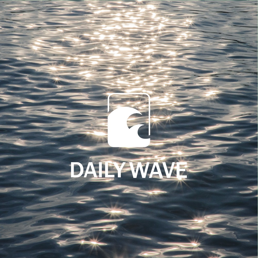 포트폴리오-DAILY WAVE 로고 디자인