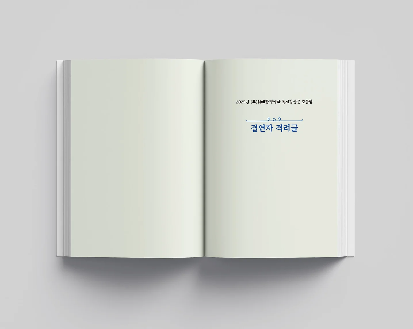 디자인 포트폴리오