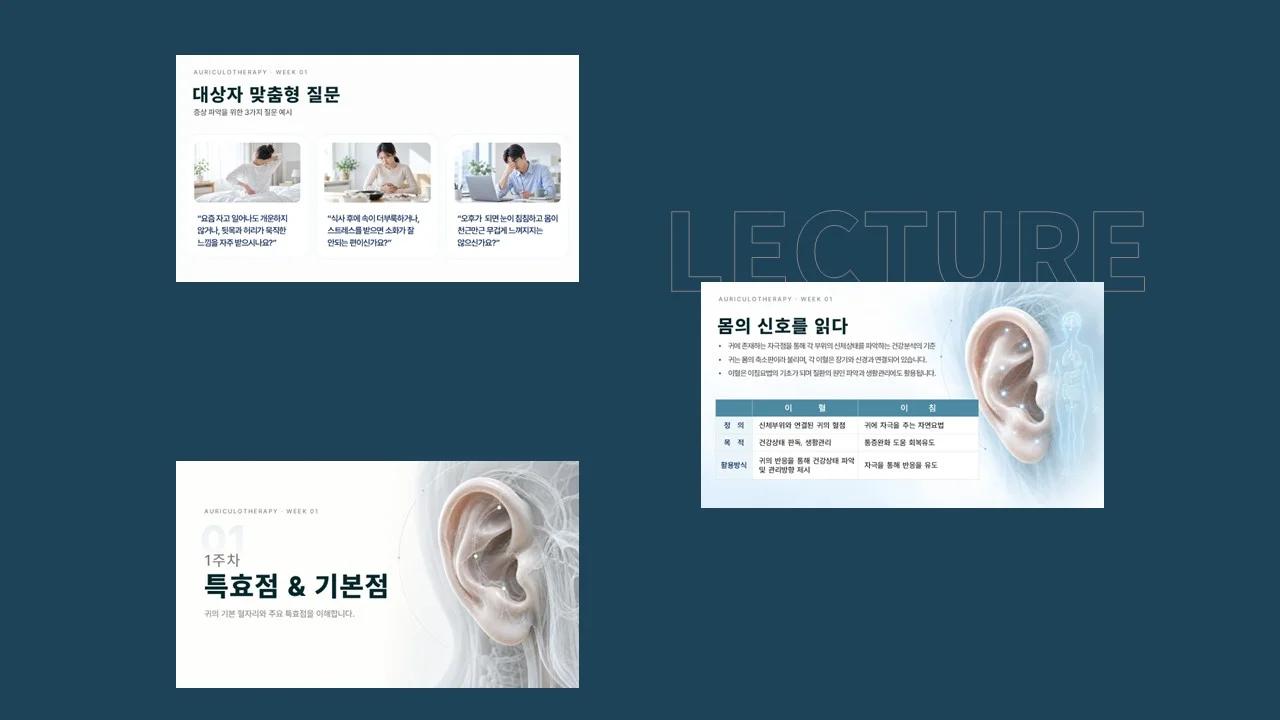 디자인 포트폴리오
