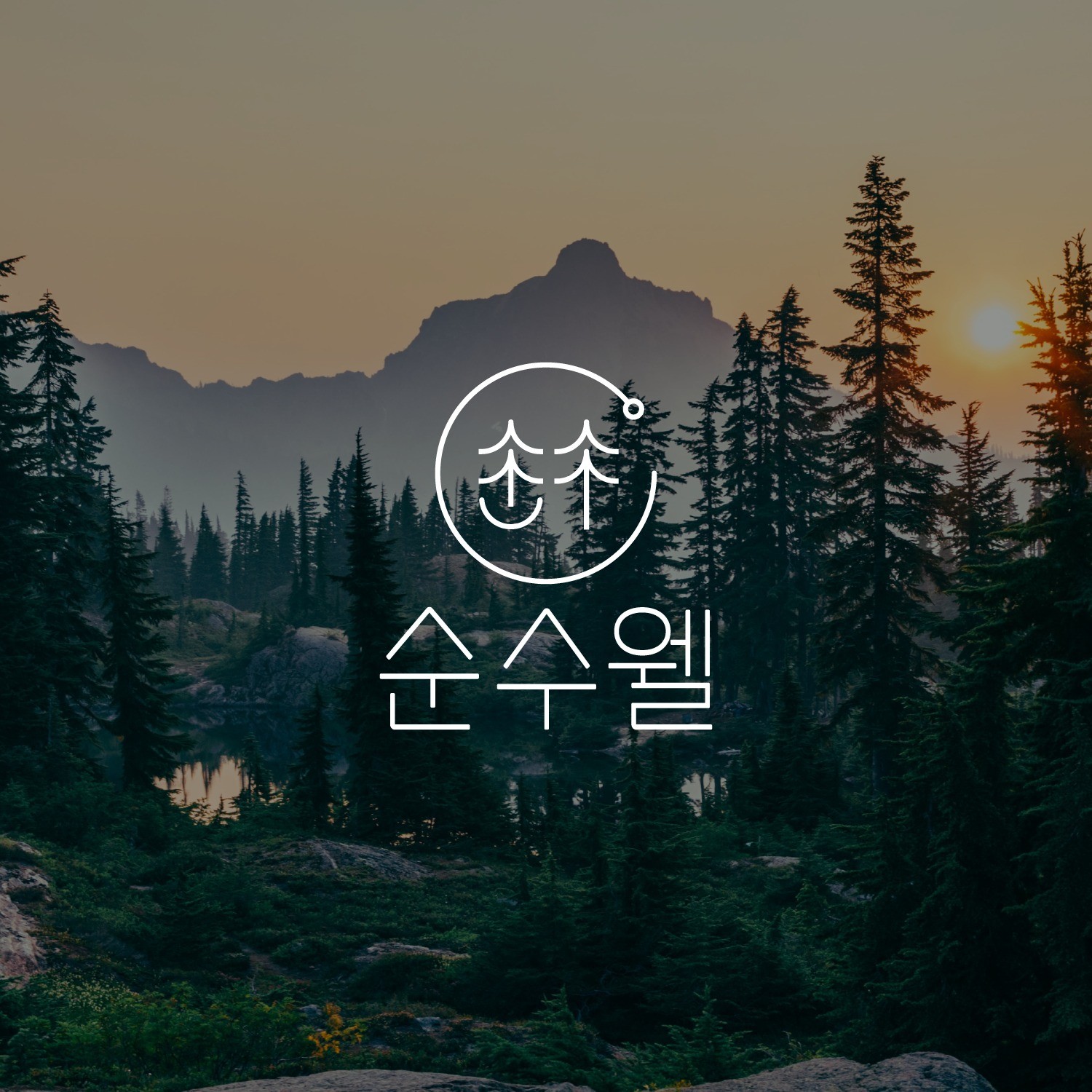 포트폴리오-순수웰 로고 디자인