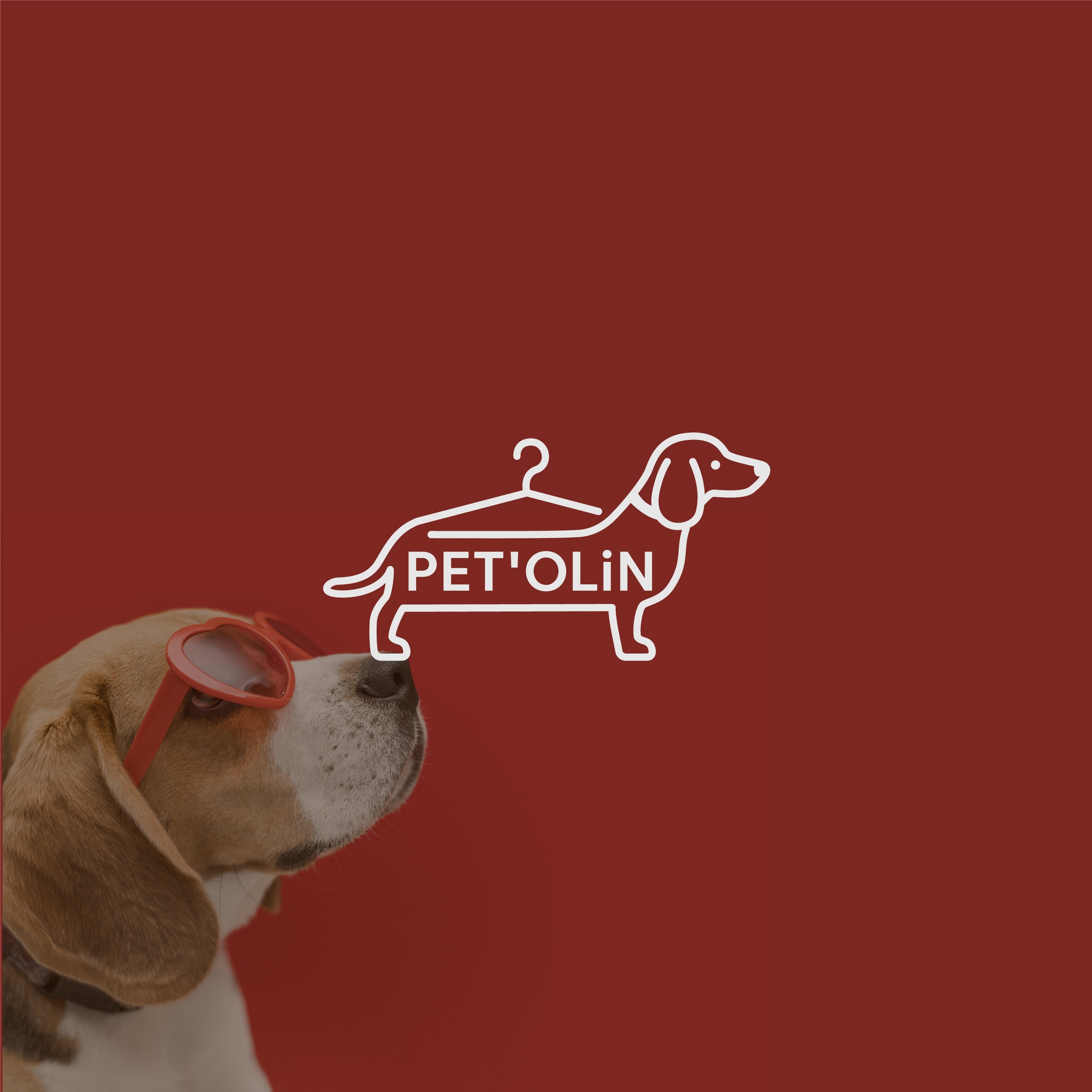 포트폴리오-PET'S OLIN