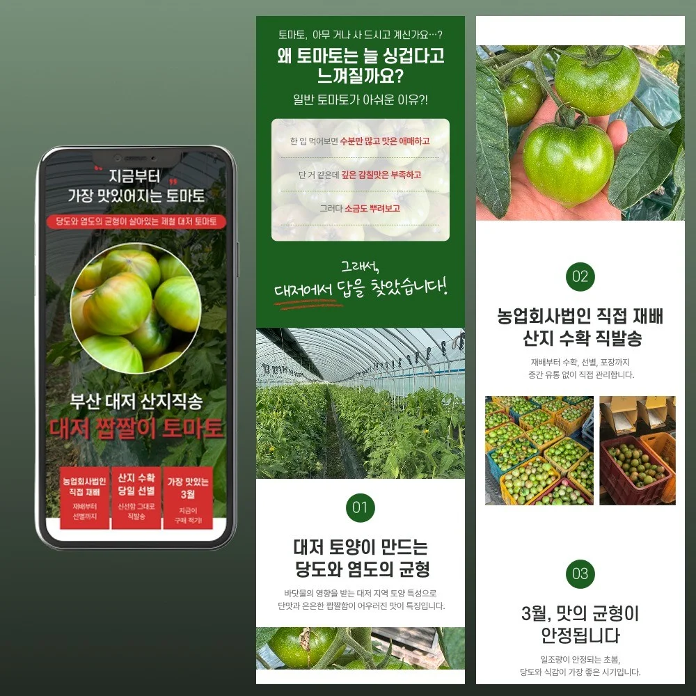 포트폴리오 메인이미지