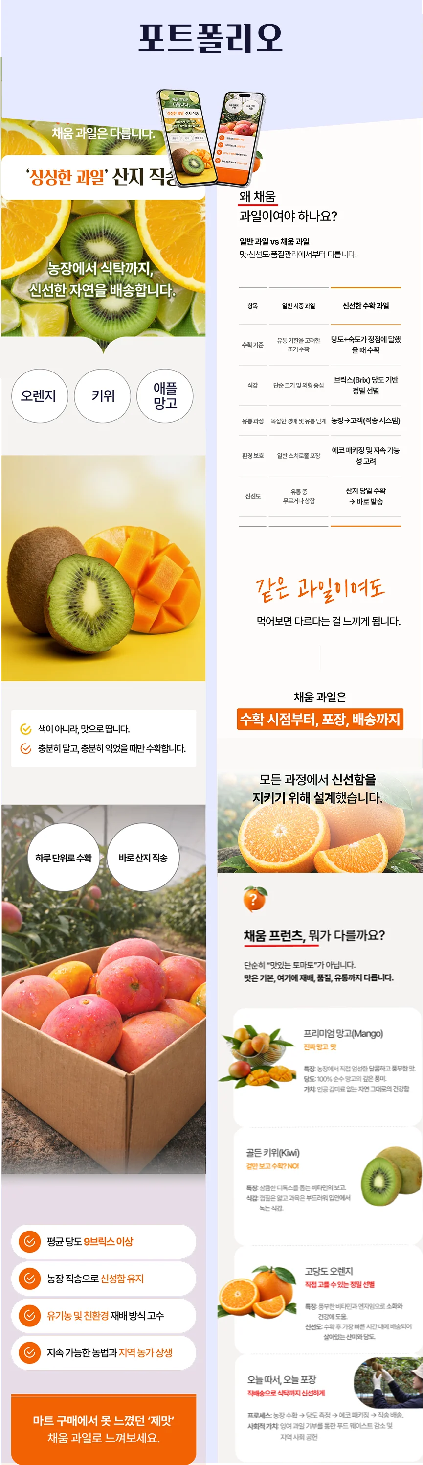 디자인 포트폴리오