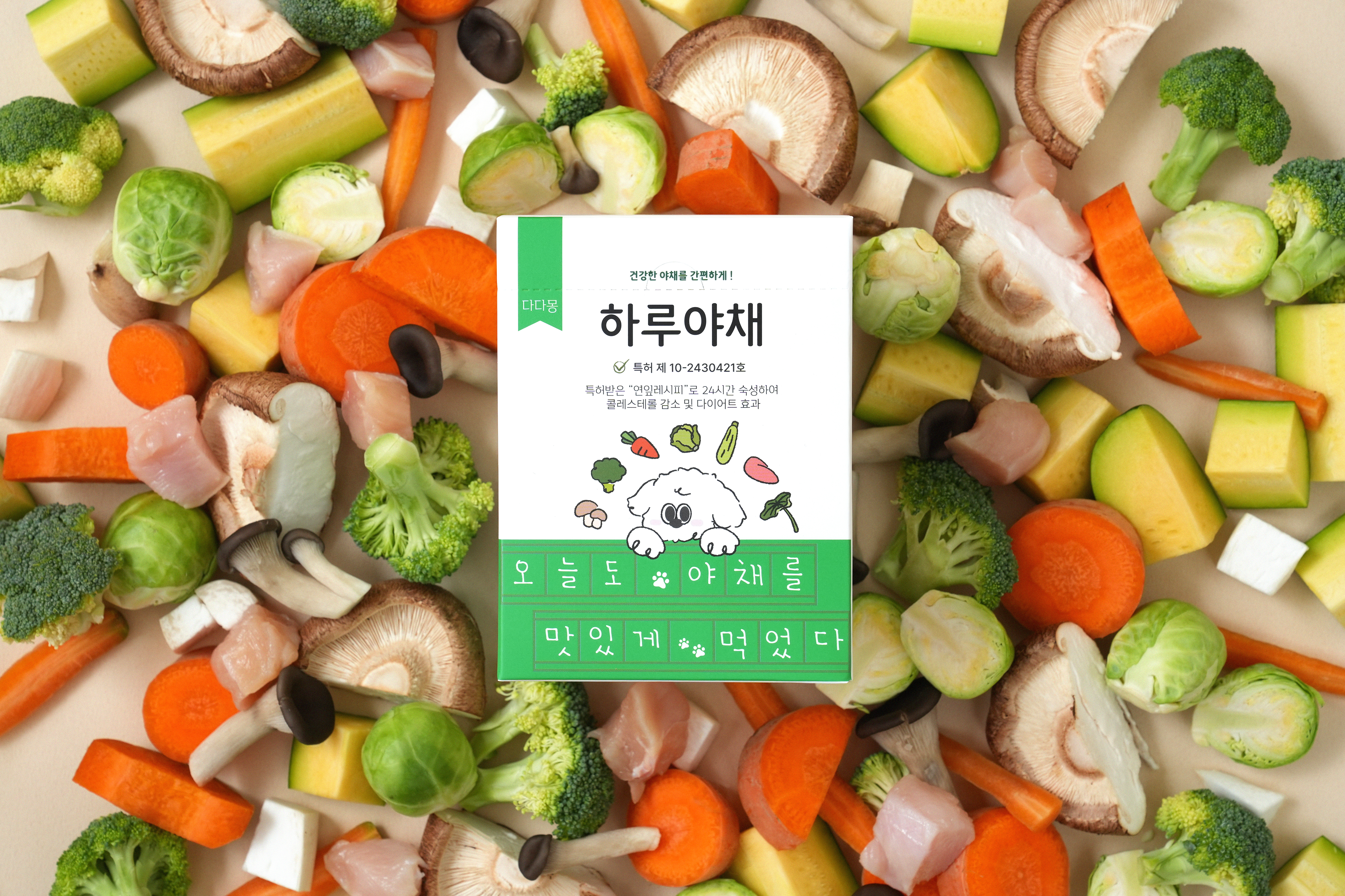 강아지섭외 - 크몽 포트폴리오 검색