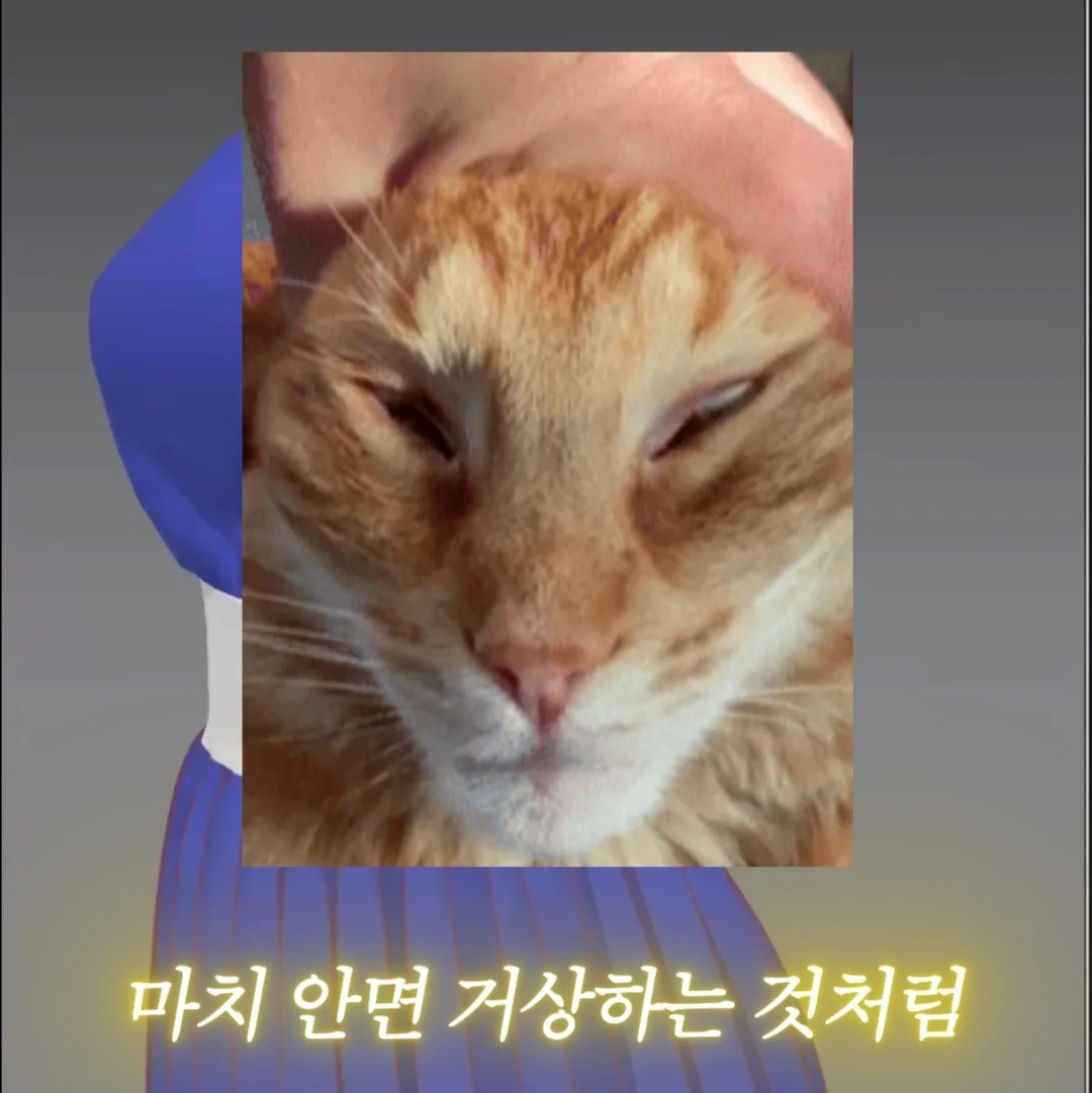 포트폴리오 메인이미지