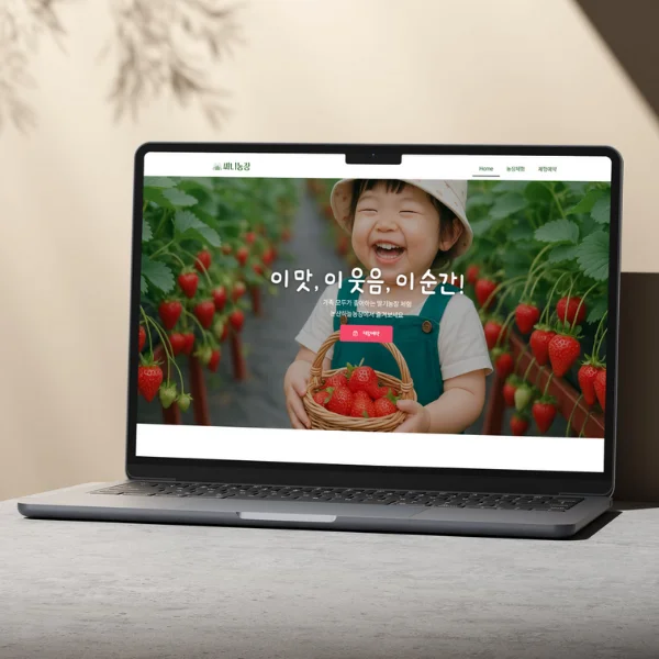 디자인 포트폴리오