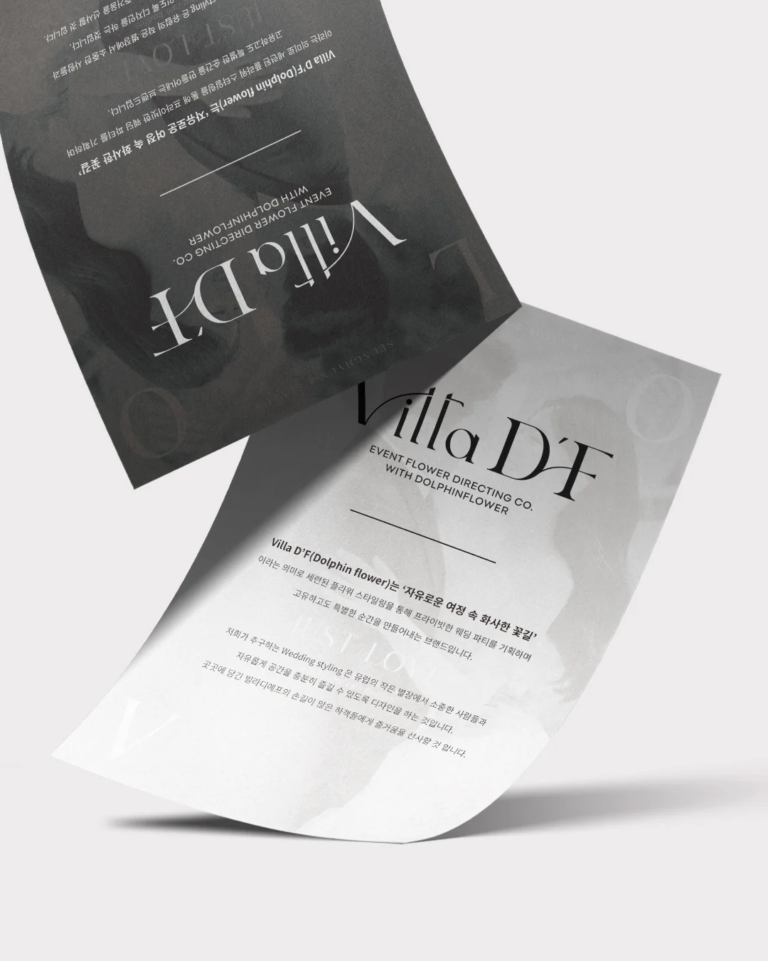 디자인 포트폴리오