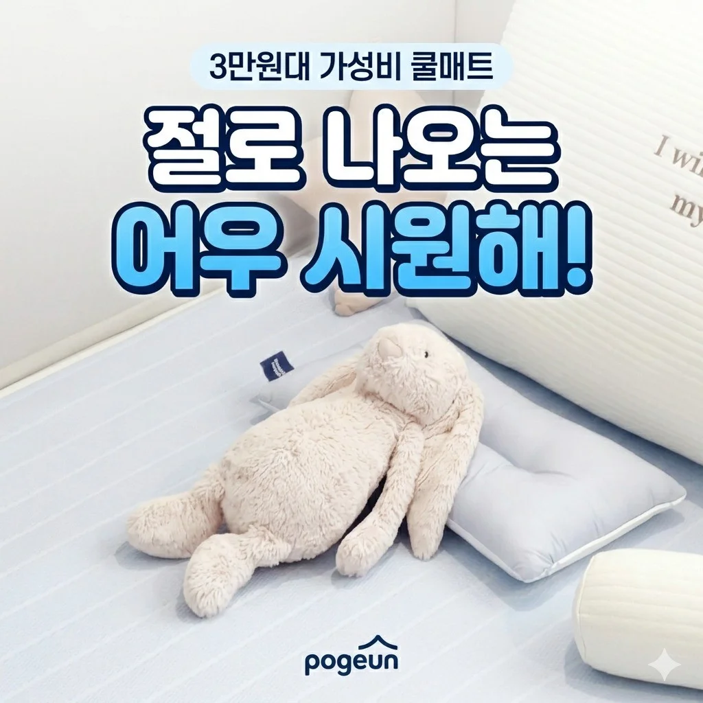 포트폴리오 메인이미지