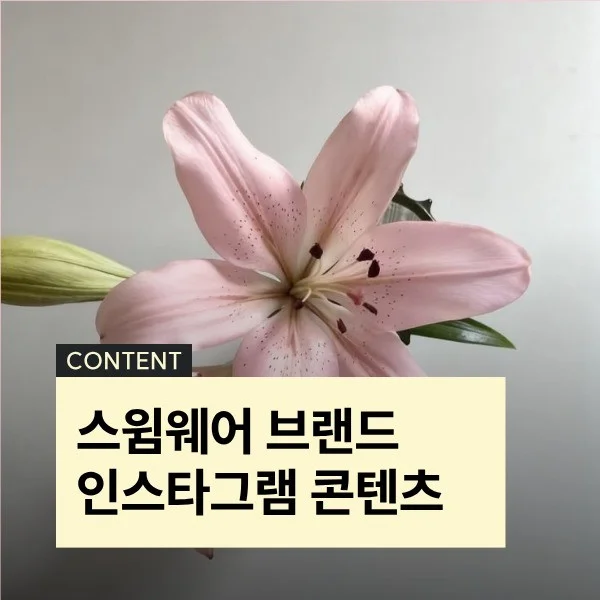 포트폴리오 메인이미지