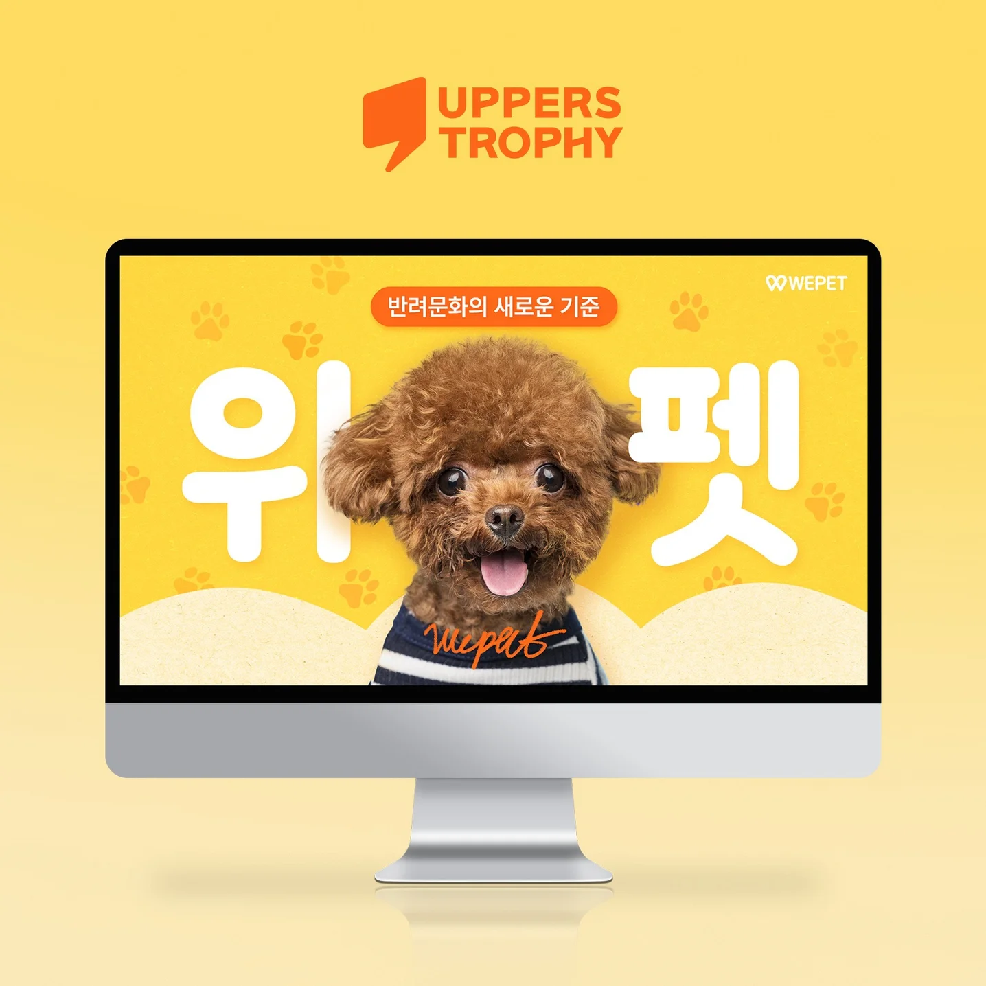 포트폴리오 메인이미지