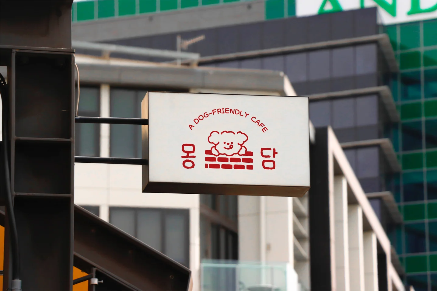 디자인 포트폴리오