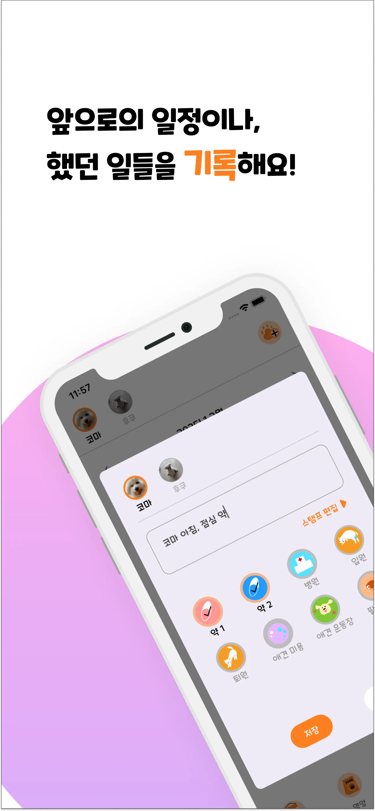 디자인 포트폴리오