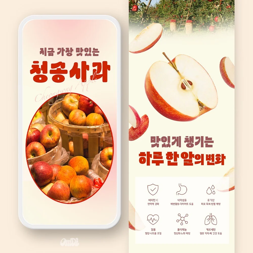 포트폴리오 메인이미지