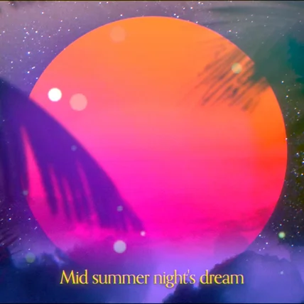포트폴리오-[미디어 아트] 진영 - Midsummer Night's Dream