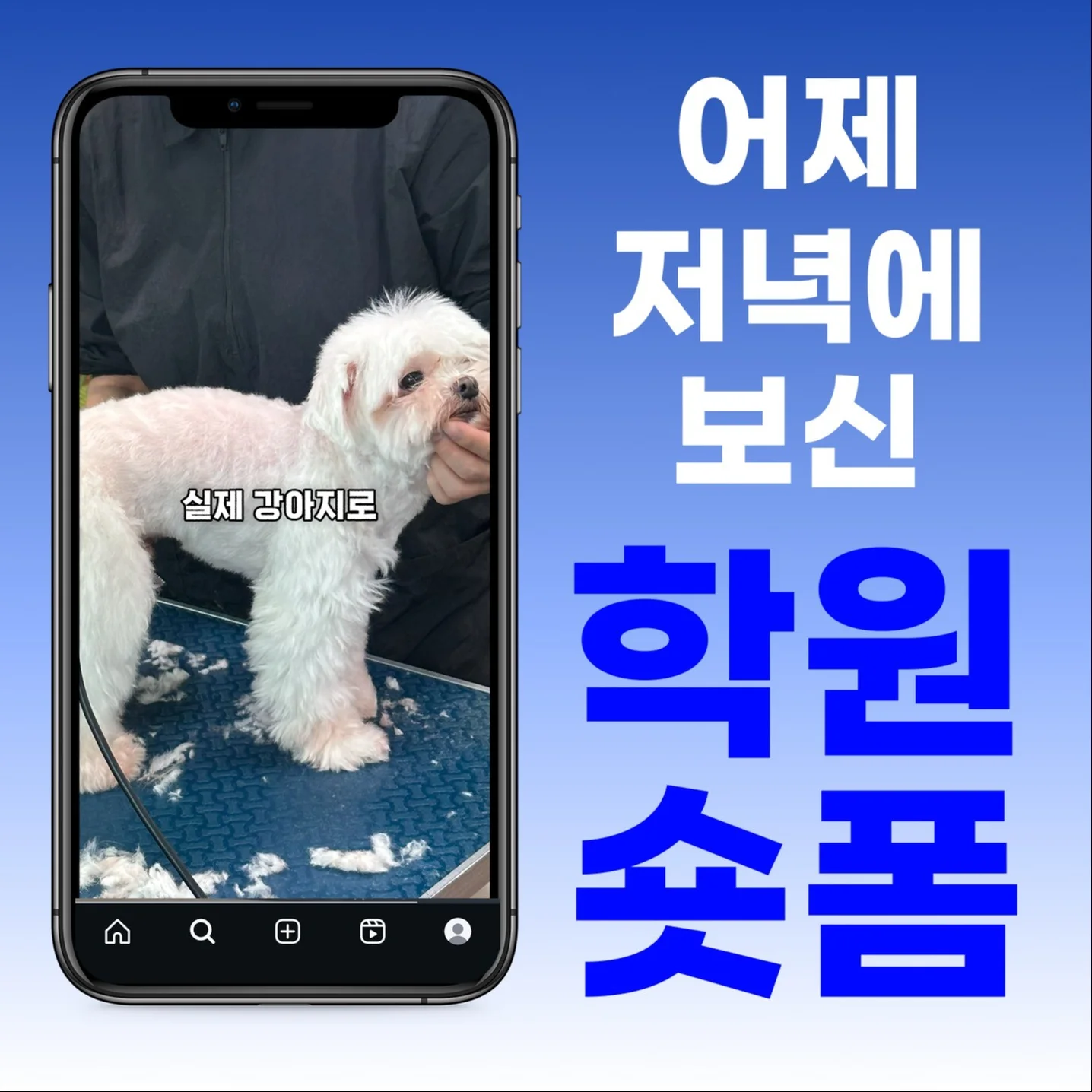 포트폴리오 메인이미지