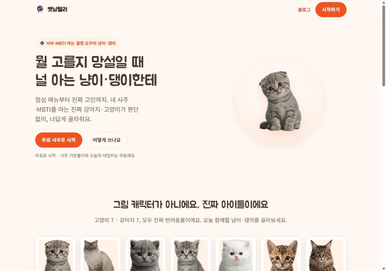 디자인 포트폴리오
