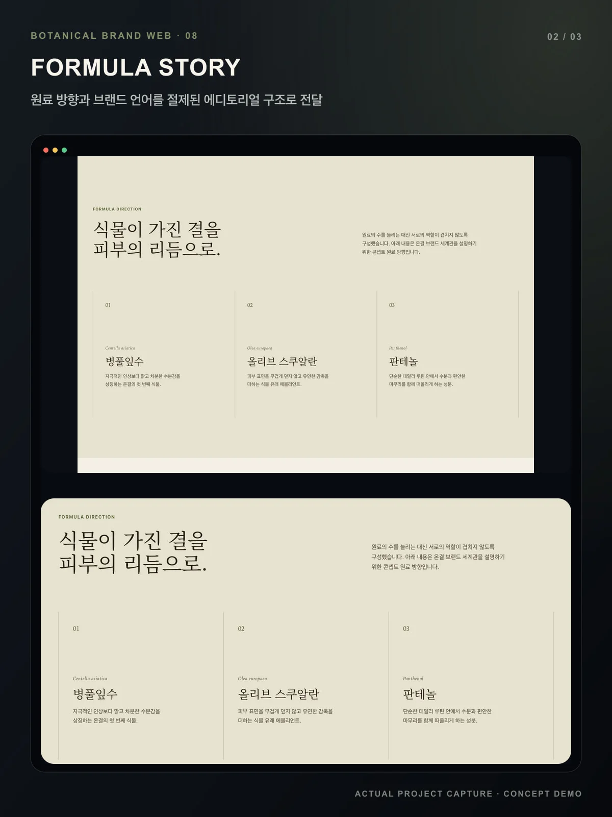 디자인 포트폴리오