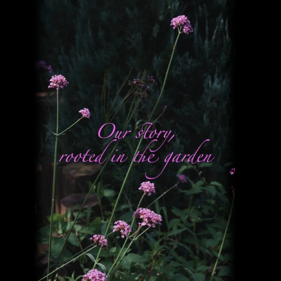 포트폴리오 메인이미지